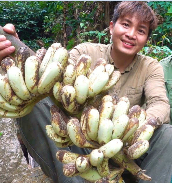 Chuối hột rừng